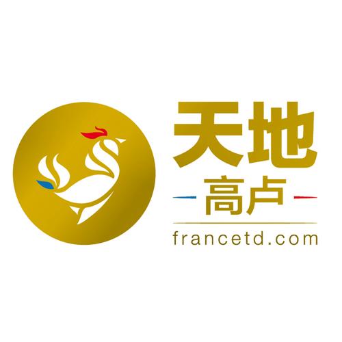 天地高卢电子商务